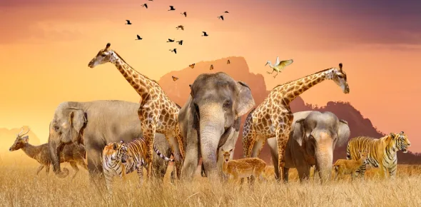 How Much Do You Know About Animals? Part 2